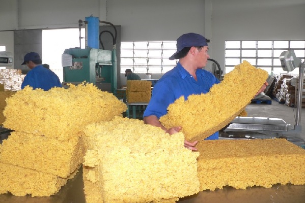 Kim ngạch xuất khẩu cao su giảm đến 28,7% trong nửa đầu tháng 9/2019